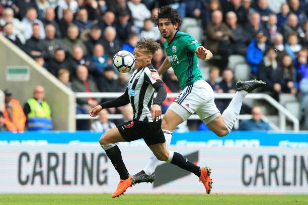 波普在近期 波普在近期