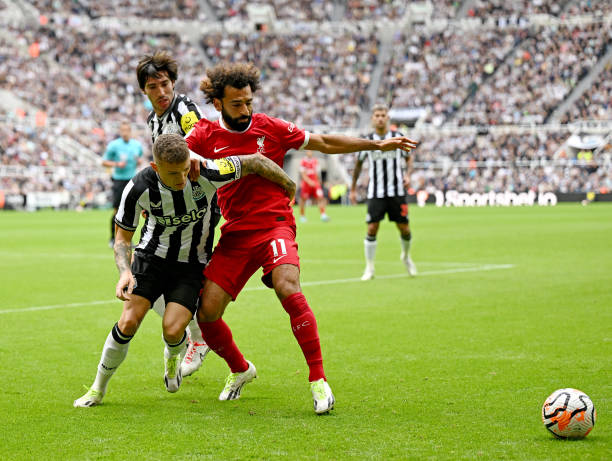 又提供了观 又提供了观