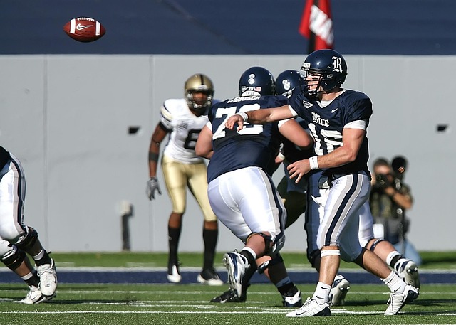 了不少粉丝 了不少粉丝