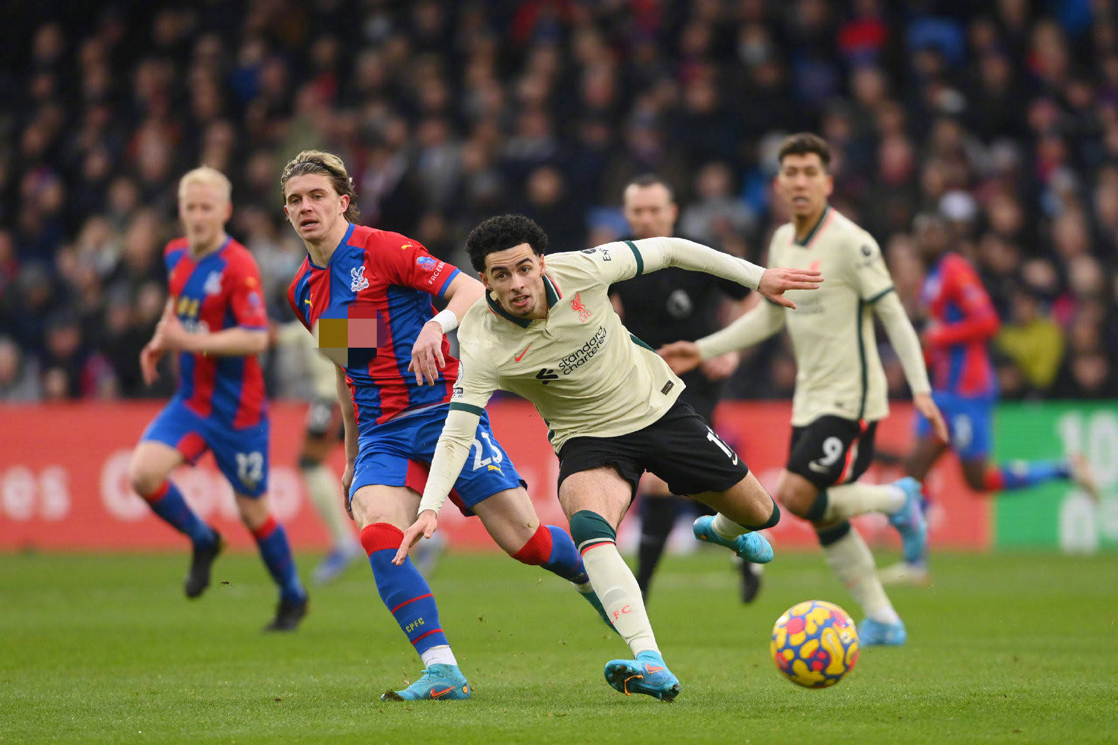 法律定义 法律定义